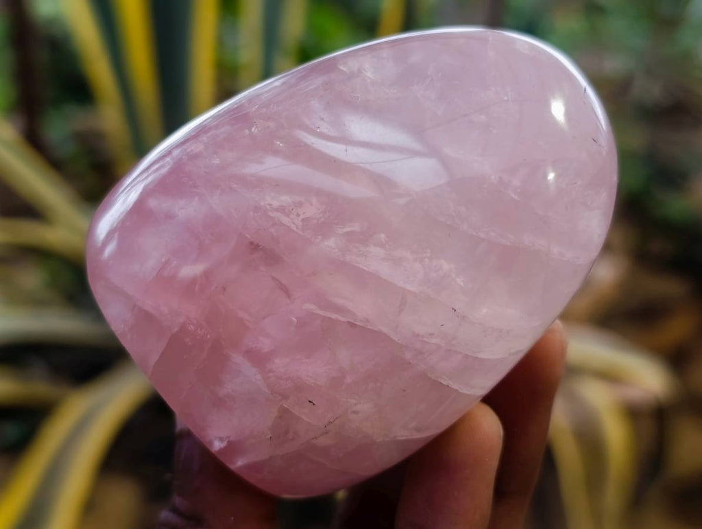 Polished Rose Quartz Standing Free Forms x 4 Madagascar - Toprock Gemstones and Minerals 