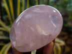 Polished Rose Quartz Standing Free Forms x 4 Madagascar - Toprock Gemstones and Minerals 