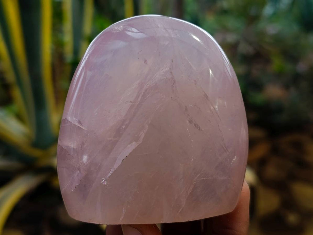 Polished Rose Quartz Standing Free Forms x 4 Madagascar - Toprock Gemstones and Minerals 