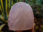 Polished Rose Quartz Standing Free Forms x 4 Madagascar - Toprock Gemstones and Minerals 