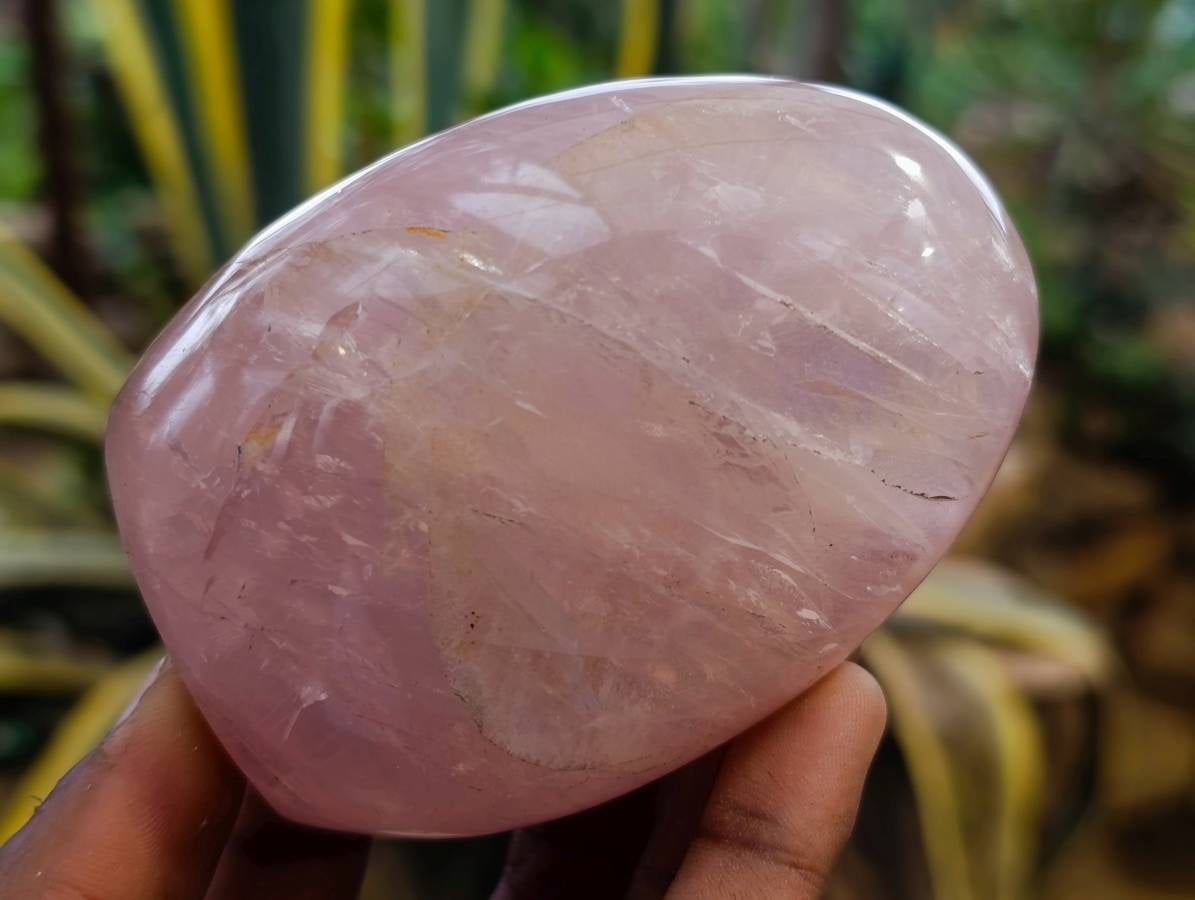 Polished Rose Quartz Standing Free Forms x 4 Madagascar - Toprock Gemstones and Minerals 
