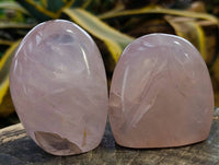 Polished Rose Quartz Standing Free Forms x 4 Madagascar - Toprock Gemstones and Minerals 