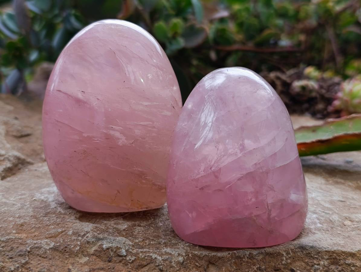 Polished Rose Quartz Standing Free Forms x 4 Madagascar - Toprock Gemstones and Minerals 