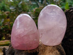 Polished Rose Quartz Standing Free Forms x 4 Madagascar - Toprock Gemstones and Minerals 