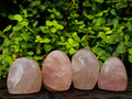 Polished Rose Quartz Standing Free Forms x 4 Madagascar - Toprock Gemstones and Minerals 