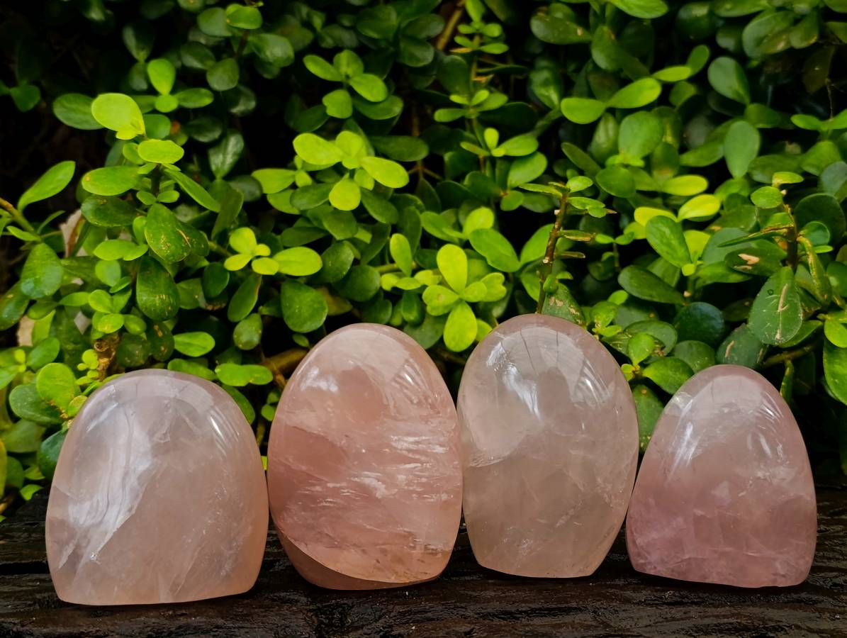 Polished Rose Quartz Standing Free Forms x 4 Madagascar - Toprock Gemstones and Minerals 