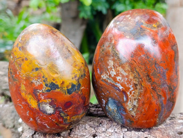 Polished Red Jasper Standing Free Forms x 2 From Madagascar