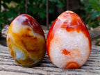 Polished Carnelian Agate Standing Free Forms x 2 From Madagascar - Toprock Gemstones and Minerals 
