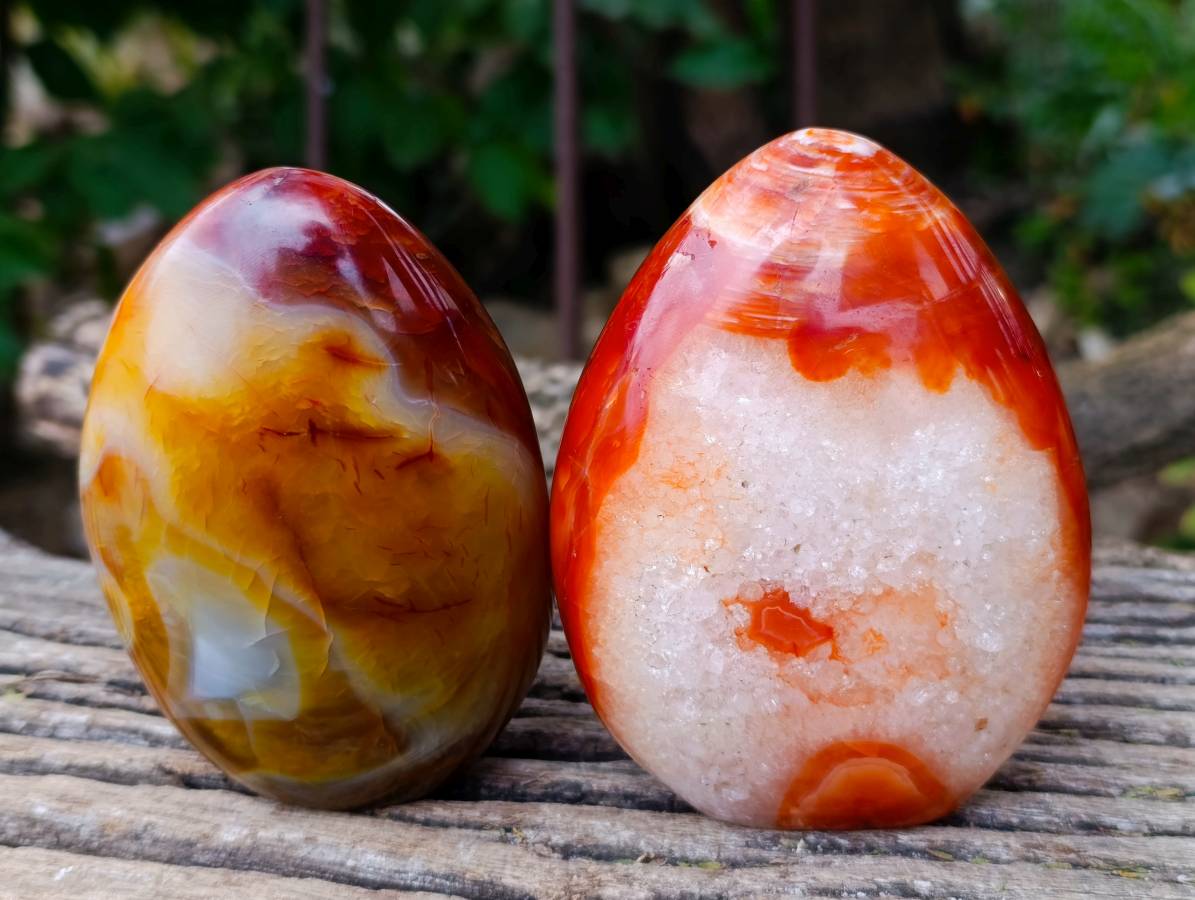Polished Carnelian Agate Standing Free Forms x 2 From Madagascar - Toprock Gemstones and Minerals 