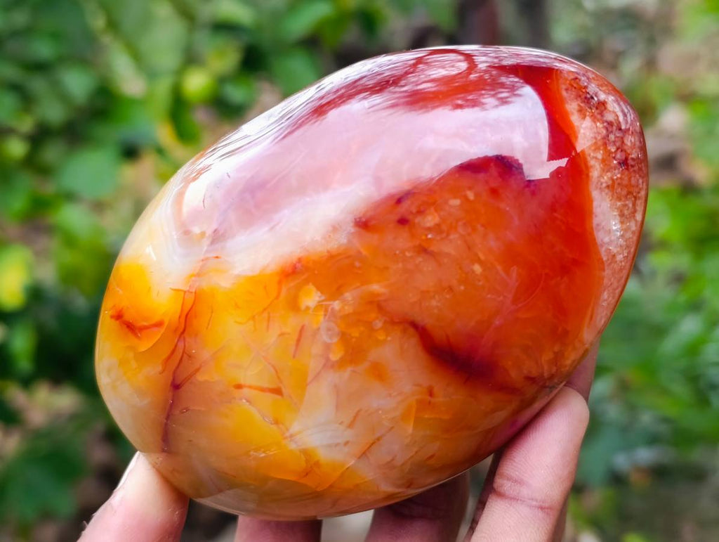 Polished Carnelian Agate Standing Free Forms x 2 From Madagascar - Toprock Gemstones and Minerals 