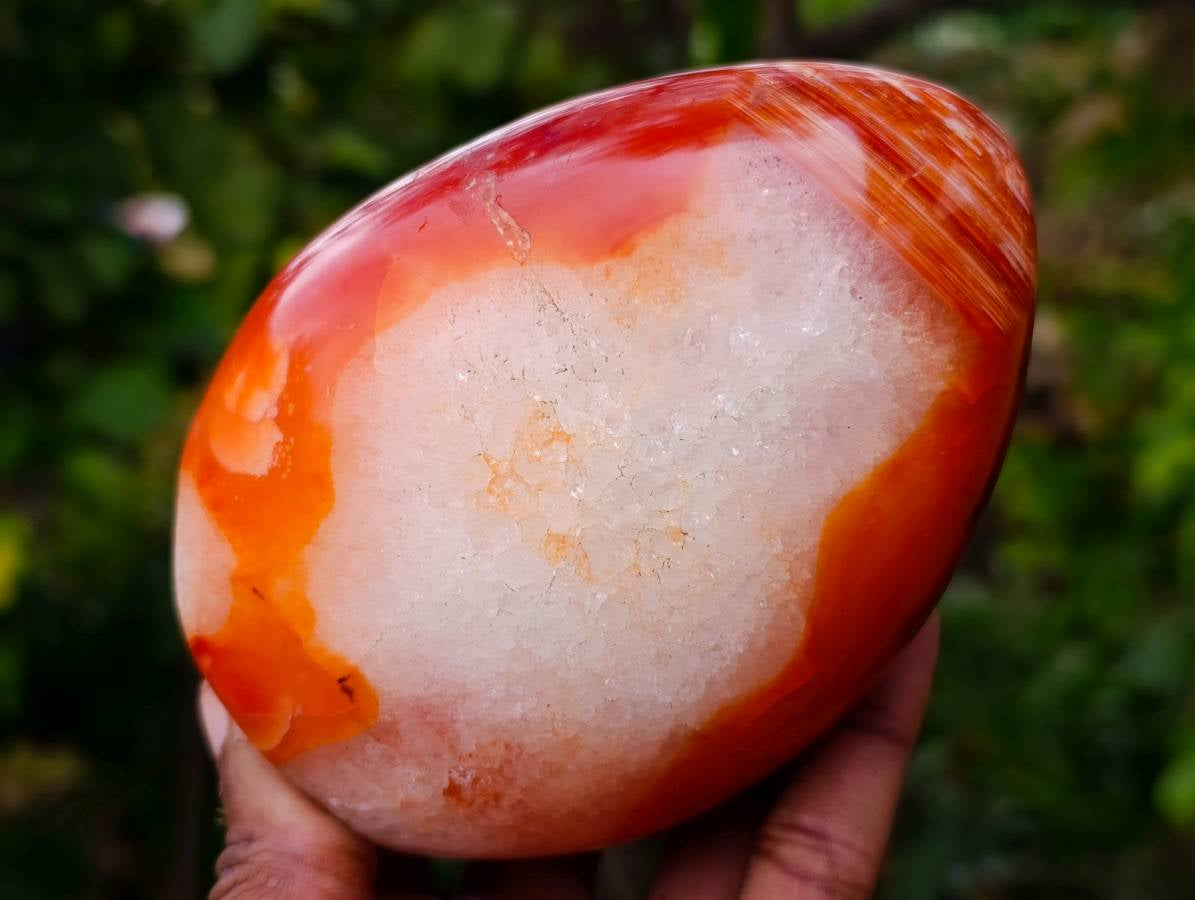 Polished Carnelian Agate Standing Free Forms x 2 From Madagascar - Toprock Gemstones and Minerals 