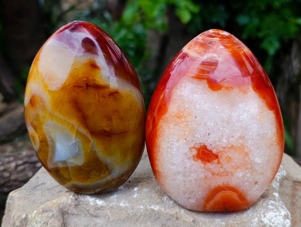 Polished Carnelian Agate Standing Free Forms x 2 From Madagascar