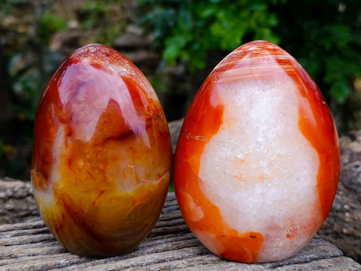 Polished Carnelian Agate Standing Free Forms x 2 From Madagascar - Toprock Gemstones and Minerals 