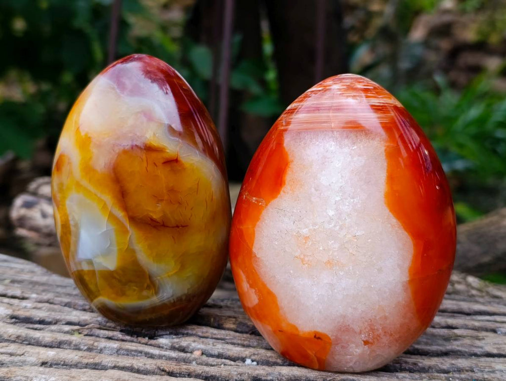 Polished Carnelian Agate Standing Free Forms x 2 From Madagascar - Toprock Gemstones and Minerals 