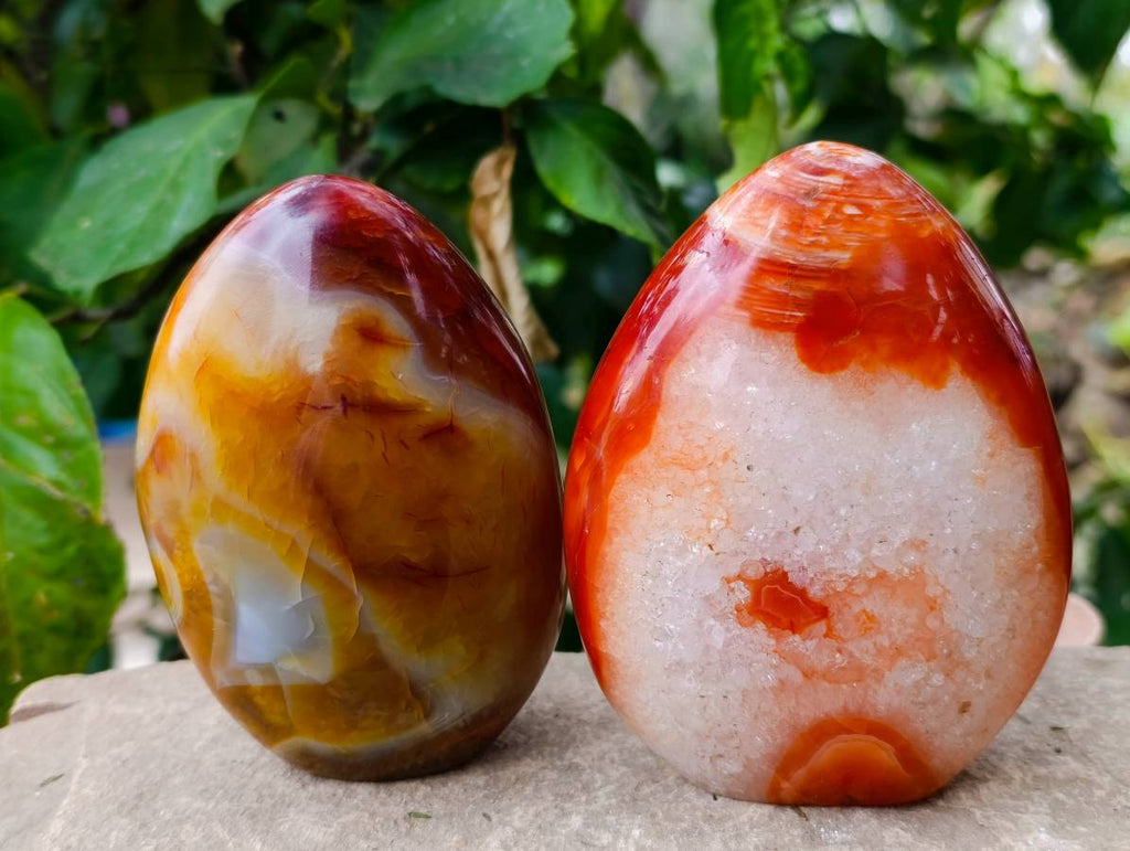 Polished Carnelian Agate Standing Free Forms x 2 From Madagascar - Toprock Gemstones and Minerals 