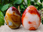 Polished Carnelian Agate Standing Free Forms x 2 From Madagascar - Toprock Gemstones and Minerals 