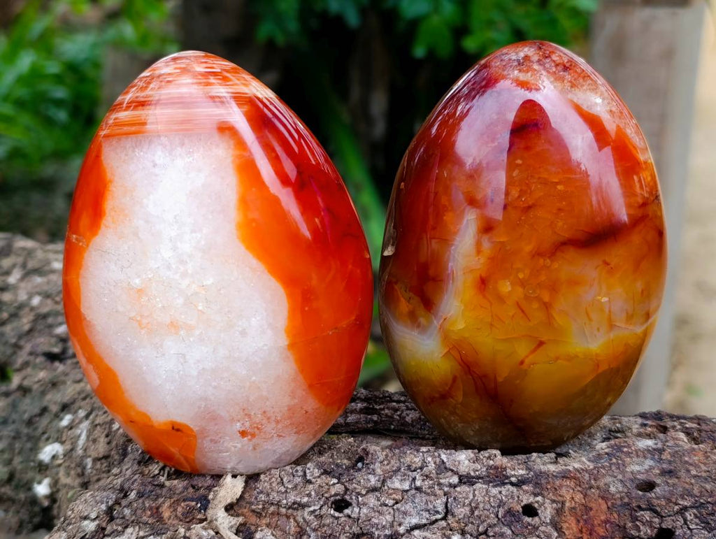 Polished Carnelian Agate Standing Free Forms x 2 From Madagascar - Toprock Gemstones and Minerals 