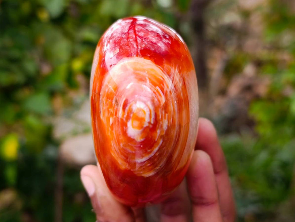 Polished Carnelian Agate Standing Free Forms x 2 From Madagascar - Toprock Gemstones and Minerals 