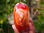 Polished Carnelian Agate Standing Free Forms x 2 From Madagascar - Toprock Gemstones and Minerals 