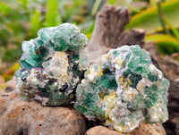 Natural Cubic Fluorite Specimens x 4 From Namibia - Toprock Gemstones and Minerals 