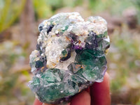 Natural Cubic Fluorite Specimens x 4 From Namibia - Toprock Gemstones and Minerals 