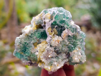 Natural Cubic Fluorite Specimens x 4 From Namibia - Toprock Gemstones and Minerals 