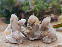 Natural Limonite Coated Fairy Spirit Quartz Specimens x 35 From South Africa