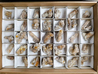 Natural Limonite Coated Fairy Spirit Quartz Specimens x 35 From South Africa