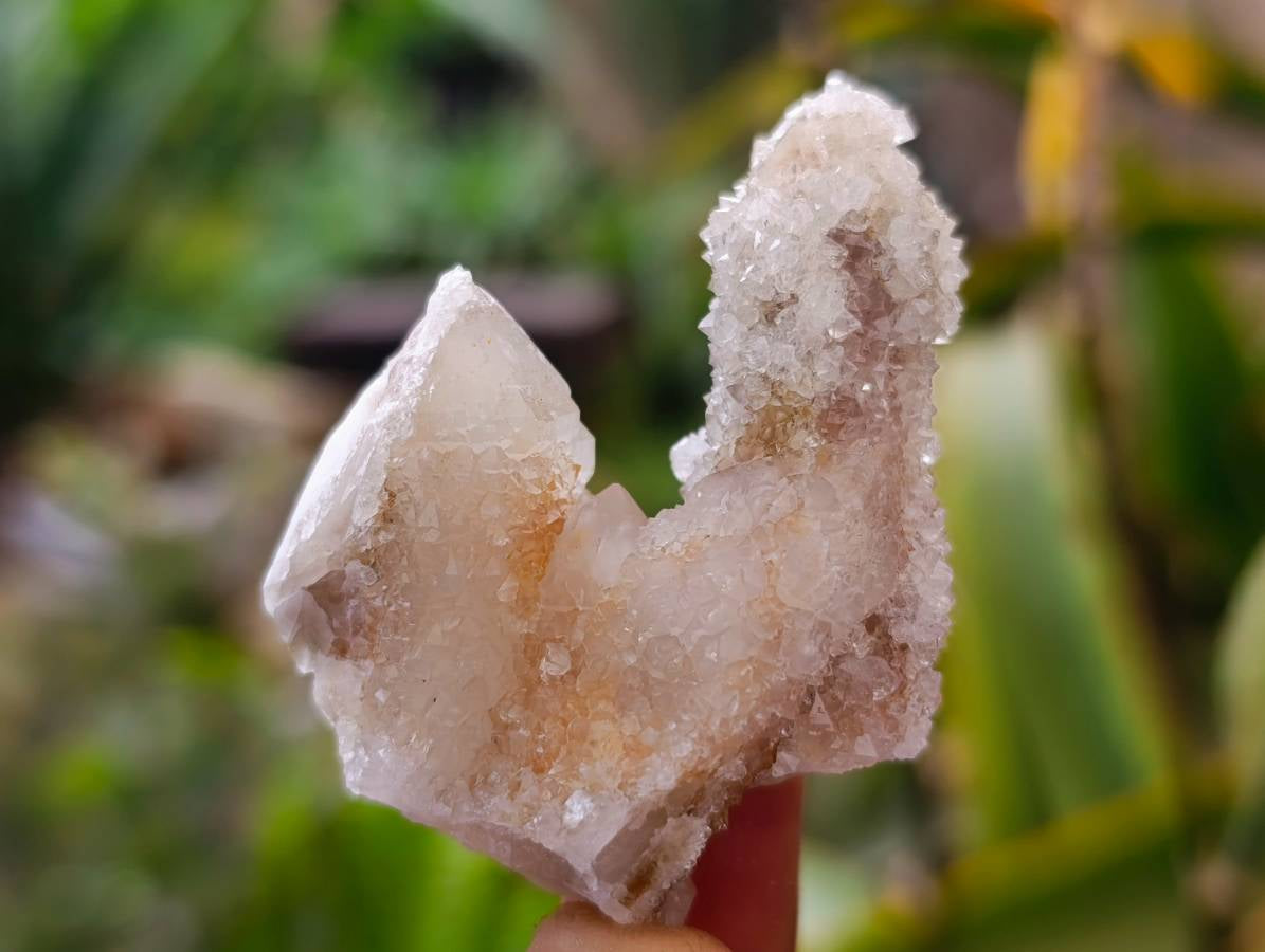 Natural Limonite Coated Fairy Spirit Quartz Specimens x 35 From South Africa - Toprock Gemstones and Minerals 