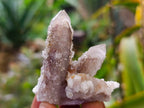Natural Limonite Coated Fairy Spirit Quartz Specimens x 35 From South Africa - Toprock Gemstones and Minerals 