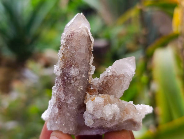 Natural Limonite Coated Fairy Spirit Quartz Specimens x 35 From South Africa