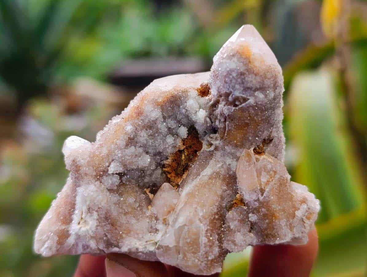 Natural Limonite Coated Fairy Spirit Quartz Specimens x 35 From South Africa - Toprock Gemstones and Minerals 