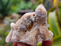 Natural Limonite Coated Fairy Spirit Quartz Specimens x 35 From South Africa