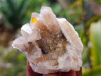 Natural Limonite Coated Fairy Spirit Quartz Specimens x 35 From South Africa - Toprock Gemstones and Minerals 