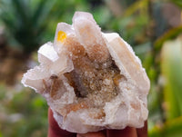 Natural Limonite Coated Fairy Spirit Quartz Specimens x 35 From South Africa