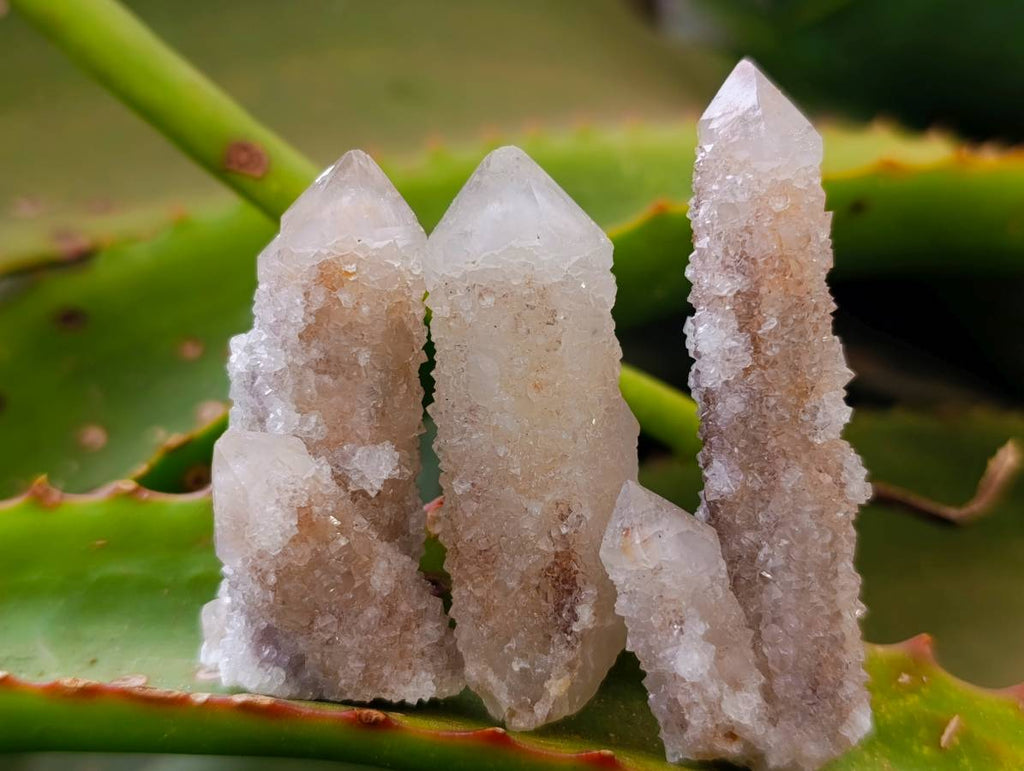 Natural Limonite Coated Fairy Spirit Quartz Specimens x 35 From South Africa - Toprock Gemstones and Minerals 