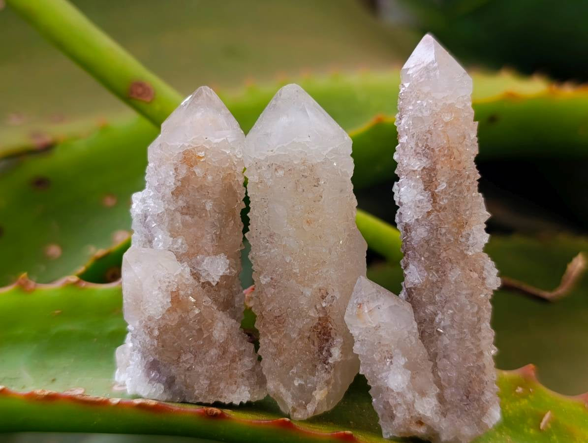 Natural Limonite Coated Fairy Spirit Quartz Specimens x 35 From South Africa - Toprock Gemstones and Minerals 