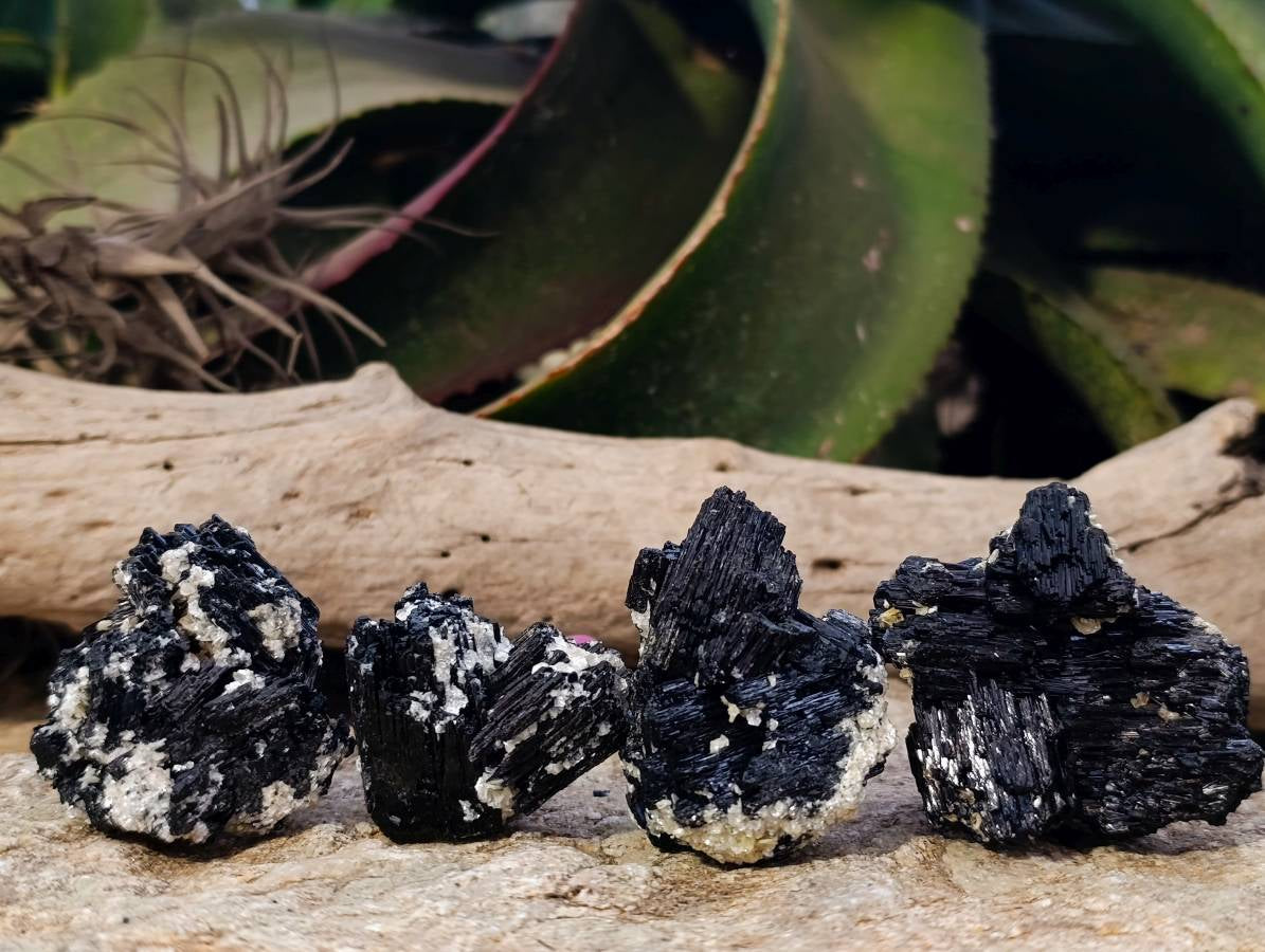 Natural Schorl Black Tourmaline Specimens x 12 From Namibia - Toprock Gemstones and Minerals 