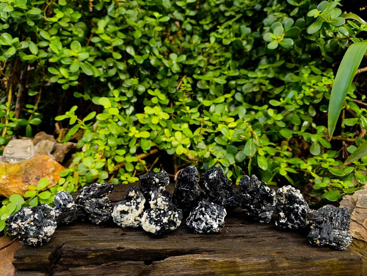 Natural Schorl Black Tourmaline Specimens x 12 From Namibia - Toprock Gemstones and Minerals 