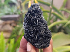 Natural Schorl Black Tourmaline Specimens x 12 From Namibia - Toprock Gemstones and Minerals 