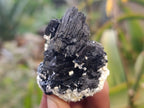 Natural Schorl Black Tourmaline Specimens x 12 From Namibia - Toprock Gemstones and Minerals 