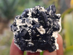 Natural Schorl Black Tourmaline Specimens x 12 From Namibia - Toprock Gemstones and Minerals 