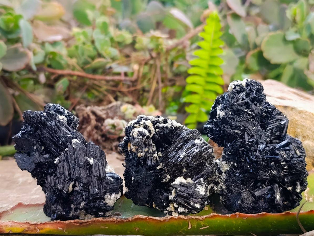 Natural Schorl Black Tourmaline Specimens x 12 From Namibia - Toprock Gemstones and Minerals 