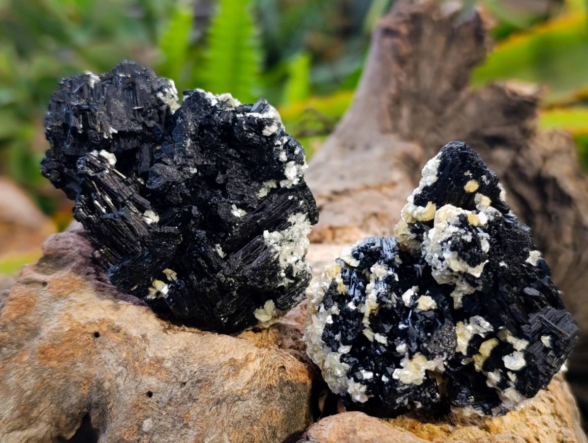 Natural Schorl Black Tourmaline Specimens x 12 From Namibia - Toprock Gemstones and Minerals 