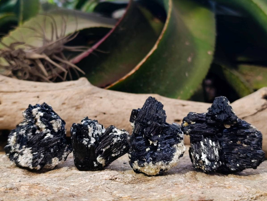 Natural Schorl Black Tourmaline Specimens x 12 From Namibia - Toprock Gemstones and Minerals 