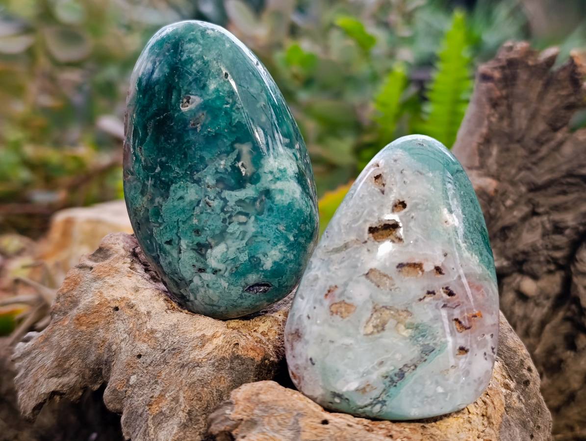 Polished Emerald Mtorolite Free Forms x 12 From Mutorashanga, Zimbabwe - Toprock Gemstones and Minerals 