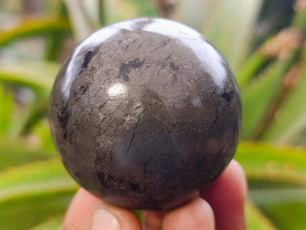 Polished Pharaoh Stone Spheres x 3 From Zimbabwe