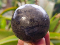 Polished Pharaoh Stone Spheres x 3 From Zimbabwe