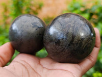 Polished Pharaoh Stone Spheres x 3 From Zimbabwe