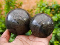 Polished Pharaoh Stone Spheres x 3 From Zimbabwe